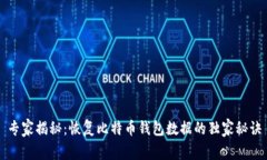 专家揭秘：恢复比特币钱