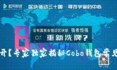 区块链钱包打不开？专家