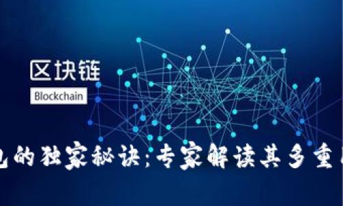 区块链钱包的独家秘诀：专家解读其多重用处与优势