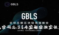TP钱包密码忘了？专家解密独家恢复秘诀