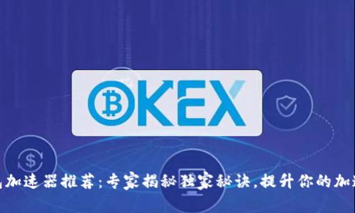 TP钱包加速器推荐：专家揭秘独家秘诀，提升你的加速体验