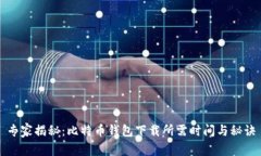 专家揭秘：比特币钱包下