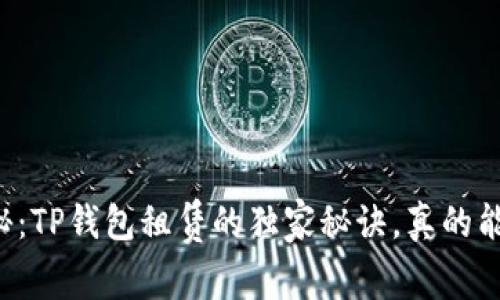专家揭秘：TP钱包租赁的独家秘诀，真的能赚钱吗？