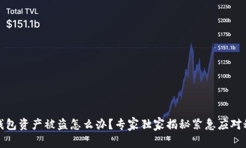 TP钱包资产被盗怎么办？专家独家揭秘紧急应对秘诀