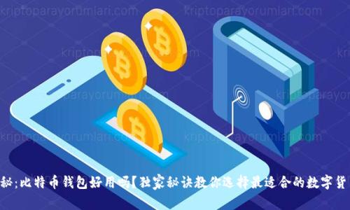 专家揭秘：比特币钱包好用吗？独家秘诀教你选择最适合的数字货币钱包！
