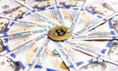 USDT放在TP钱包安全吗？专家揭秘独家秘诀！