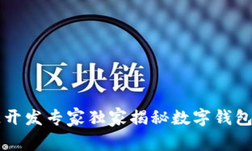 区块链开发专家独家揭秘数字钱包的秘诀