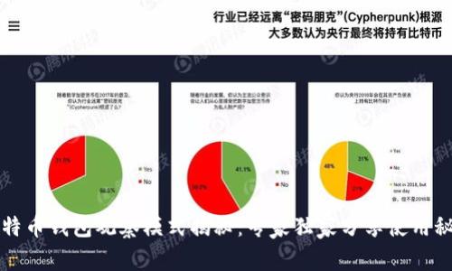 比特币钱包观察模式揭秘：专家独家分享使用秘诀