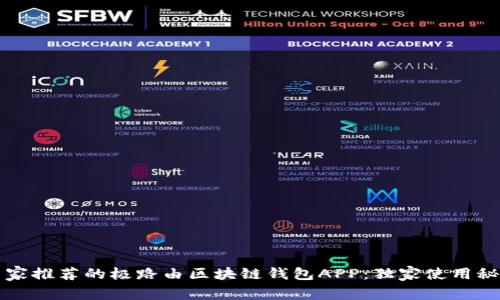 揭秘专家推荐的极路由区块链钱包APP：独家使用秘诀分享