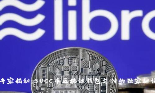 专家揭秘：BUCC币区块链钱包支付的独家秘诀
