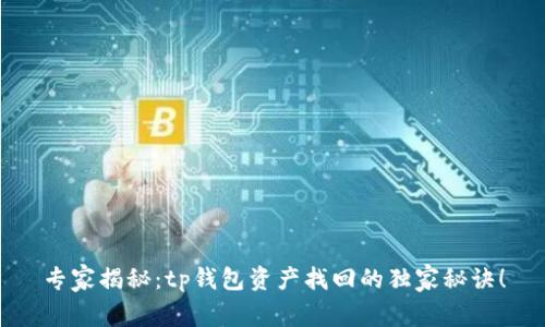 专家揭秘：tp钱包资产找回的独家秘诀！