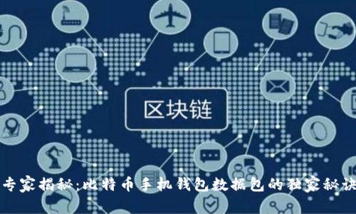 专家揭秘：比特币手机钱包数据包的独家秘诀
