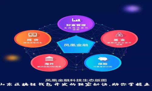 专家揭秘：山东区块链钱包开发的独家秘诀，助你掌握未来金融趋势