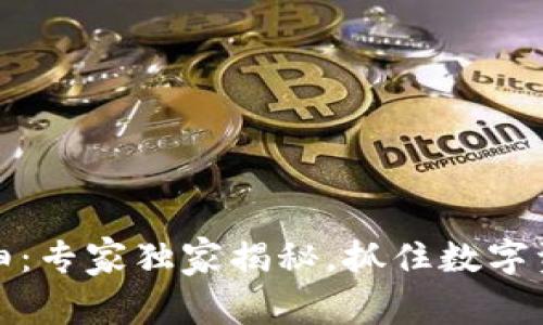 TP钱包交易明细：专家独家揭秘，抓住数字资产管理的秘诀