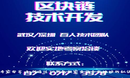 专家分享：如何通过TP钱包独家查询合约地址的秘诀