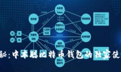 专家揭秘：中本聪比特币