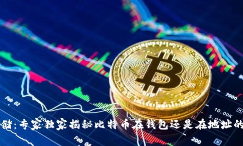 比特币存储：专家独家揭秘比特币在钱包还是在地址的真正秘诀