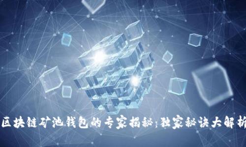 区块链矿池钱包的专家揭秘：独家秘诀大解析