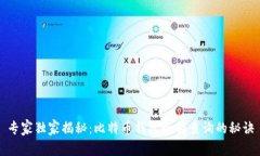 专家独家揭秘：比特币钱