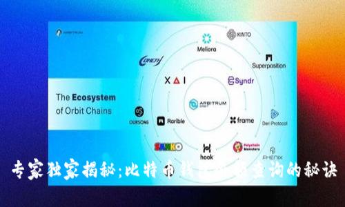 专家独家揭秘：比特币钱包余额查询的秘诀