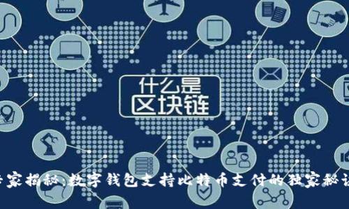 专家揭秘：数字钱包支持比特币支付的独家秘诀！