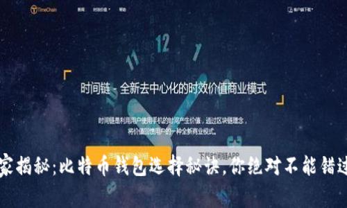 专家独家揭秘：比特币钱包选择秘诀，你绝对不能错过的技巧