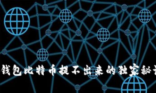 专家揭晓：冷钱包比特币提不出来的独家秘诀与解决方案