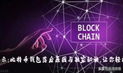 专家揭示：比特币钱包落