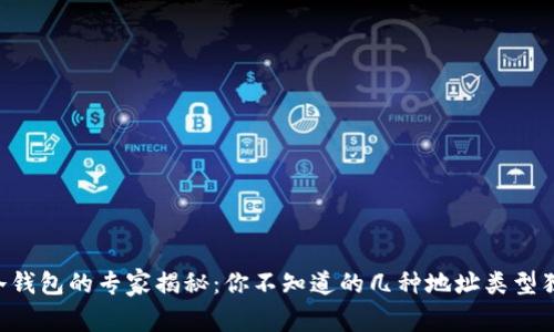 区块链冷钱包的专家揭秘：你不知道的几种地址类型独家秘诀！