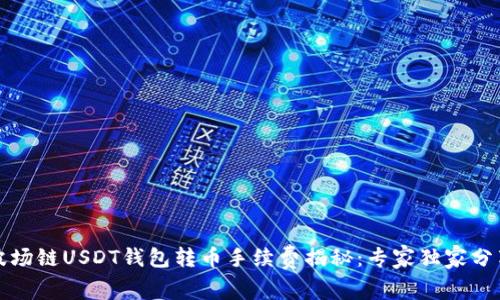 波场链USDT钱包转币手续费揭秘：专家独家分享