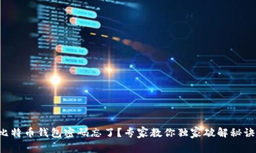 比特币钱包密码忘了？专家教你独家破解秘诀！