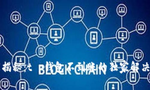 专家揭秘：t p钱包不到账的独家解决秘诀