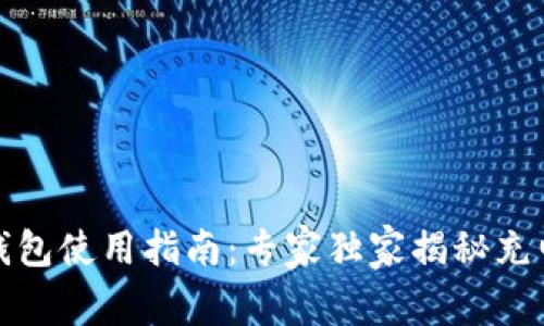 TP数字钱包使用指南：专家独家揭秘充电的秘诀