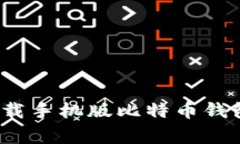 专家教你：下载手机版比特币钱包的独家秘诀