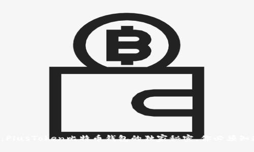 专家揭秘：PlusToken比特币钱包的独家秘密，你必须知道的秘诀！