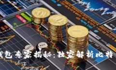 华为比特币钱包专家揭秘：独家解析比特币钱包