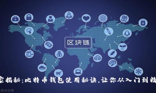 独家揭秘：比特币钱包使用秘诀，让你从入门到精通！