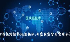 TP钱包跨链桥玩法揭秘：专家独家分享实用秘诀