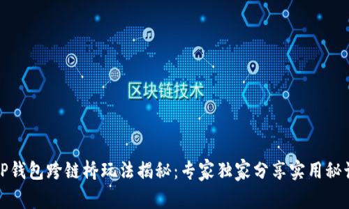 TP钱包跨链桥玩法揭秘：专家独家分享实用秘诀