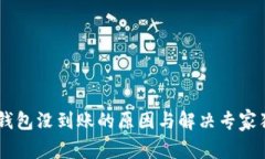 USDT转钱包没到账的原因与解决专家独家揭秘