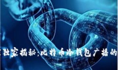 专家独家揭秘：比特币冷钱包广播的秘诀