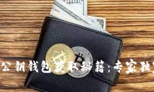 以太坊公钥钱包获取秘籍：专家独家分享！