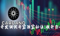 比特币钱包开发调试专家独家秘诀：提升你的开