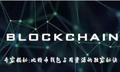 专家揭秘：比特币钱包占用资源的独家秘诀