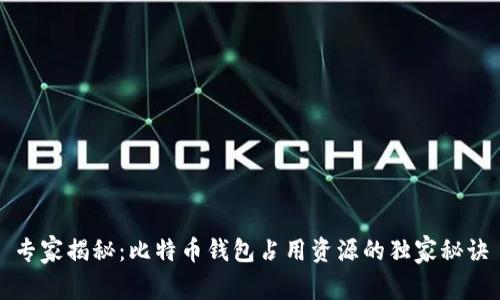专家揭秘：比特币钱包占用资源的独家秘诀