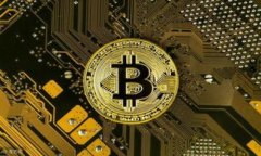    区块链钱包专家独家揭秘：2023年最受欢迎的钱