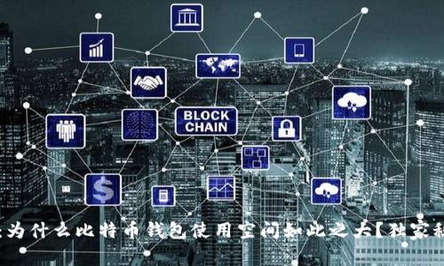 专家揭秘：为什么比特币钱包使用空间如此之大？独家秘诀大公开