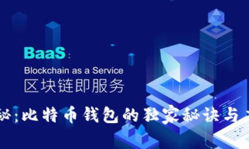 专家揭秘：比特币钱包的独家秘诀与应用解析