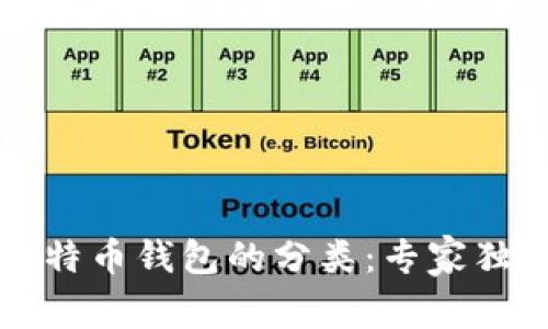 揭秘比特币钱包的分类：专家独家解析