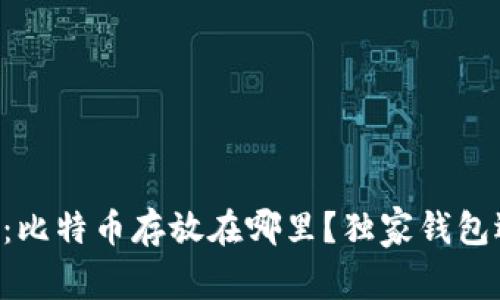 专家揭秘：比特币存放在哪里？独家钱包选择秘诀！